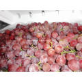 Экономической урожая свежий красный виноград